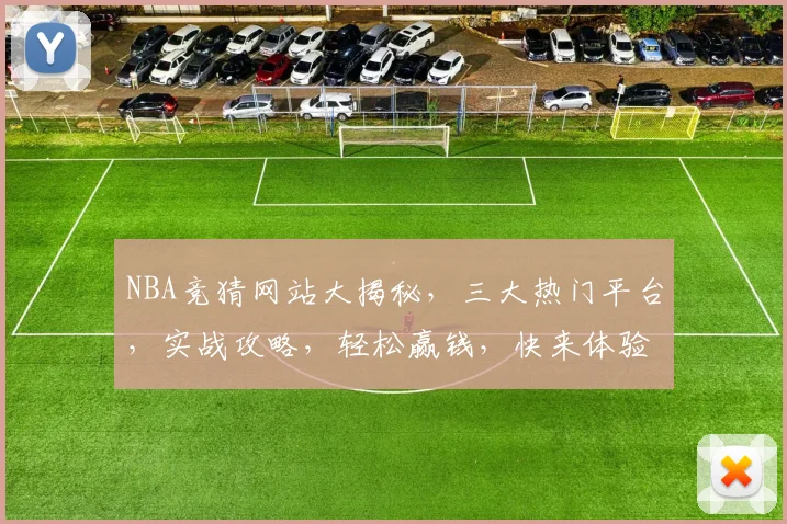 NBA竞猜网站大揭秘，三大热门平台，实战攻略，轻松赢钱，快来体验